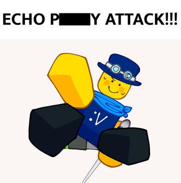 echo attack